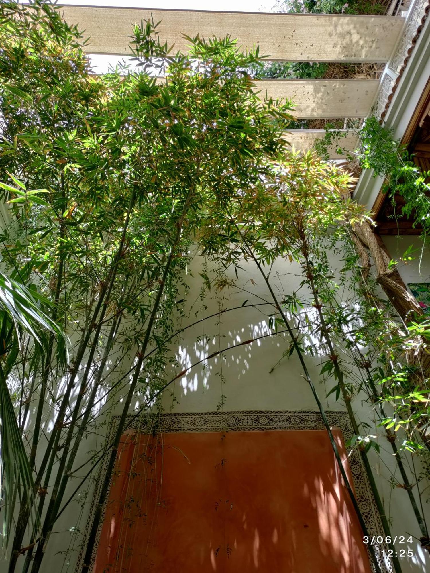 Made In Berbere Lejlighed Marrakesh Eksteriør billede
