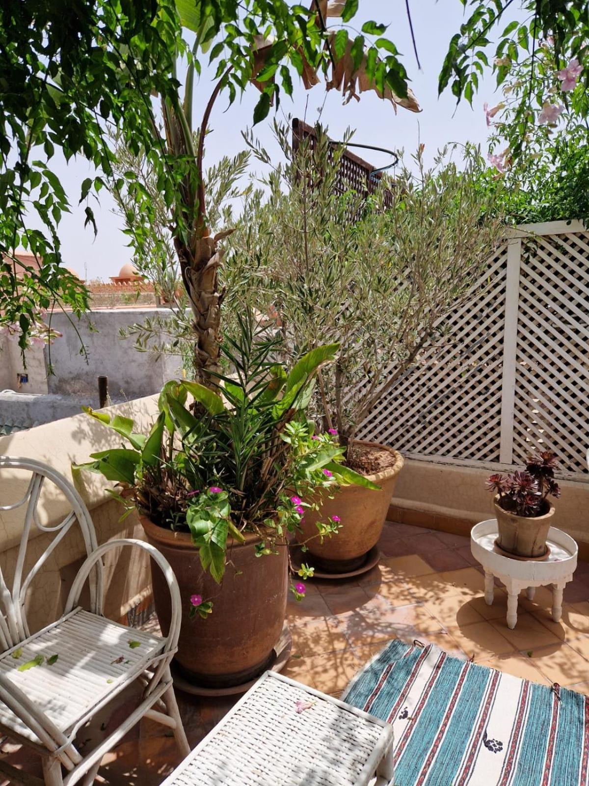Made In Berbere Lejlighed Marrakesh Eksteriør billede